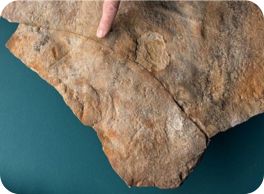image of slab