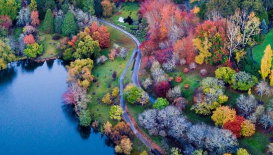Mount Lofty Botanic Gardens