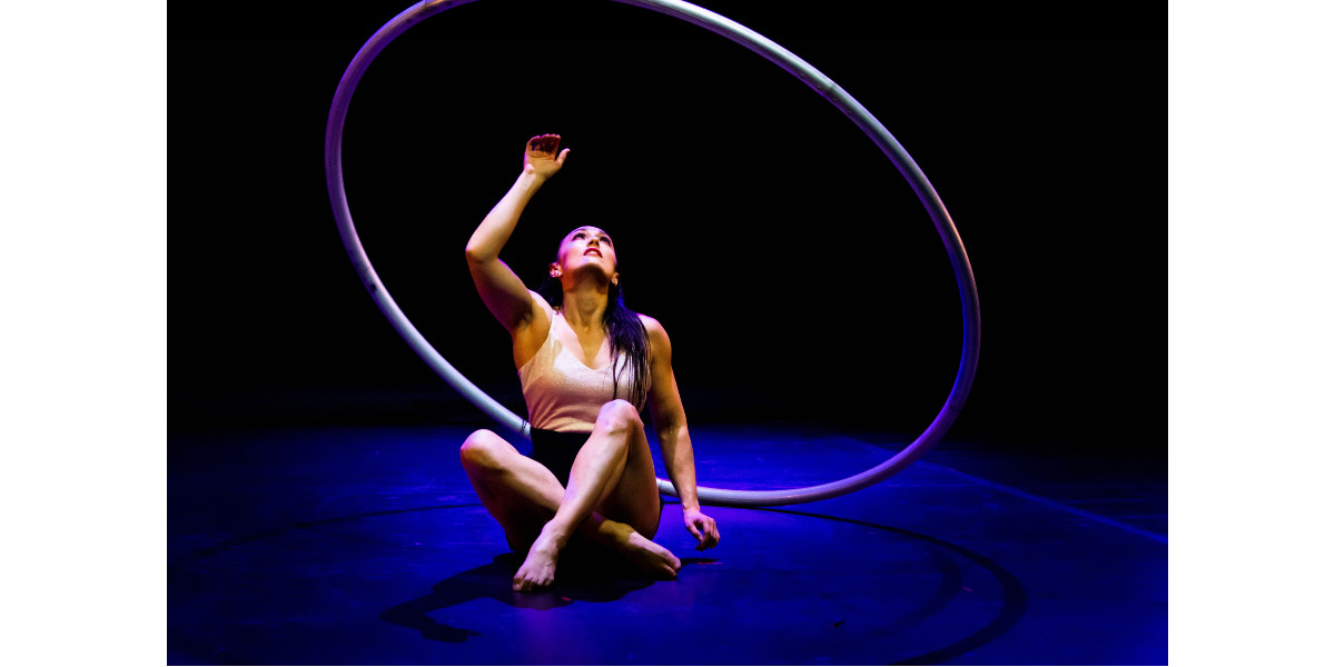 image of circus of facts