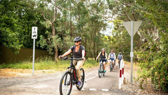 Image of the Amy Gillet Bikeway in the Adelaide Hills