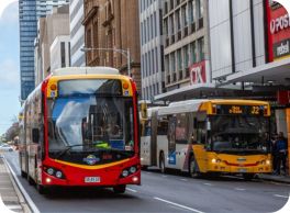 bus