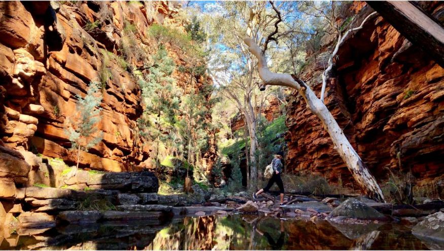 Image of a hiker walking through Alligator Gorge