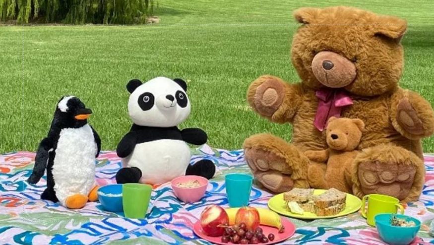 Image of teddy bear picnic