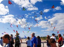image of the adelaide international kite festival