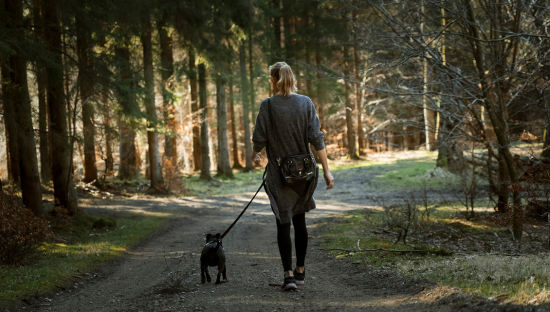 Image of a woman walking her dog in a national park