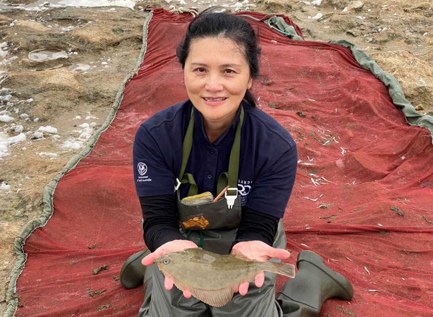 Image of SARDI scientist Qifeng Ye kneeling in a riverbed, holding a greenback flounder